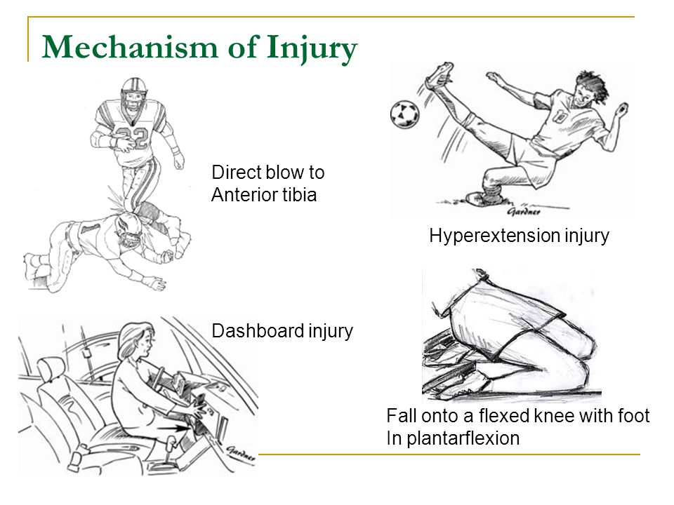 How does it get injured?